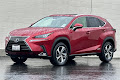 2021 Lexus NX 300h