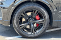 2023 Audi Q8 55 Premium Plus