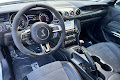 2019 Ford Mustang Shelby GT350