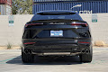 2020 Lamborghini Urus Base