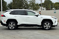 2024 Toyota RAV4 Prime SE